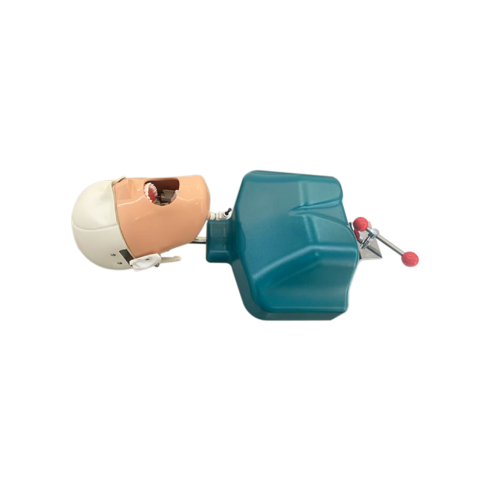 Advance type II Dental manikin with body Torse JPS-AB II