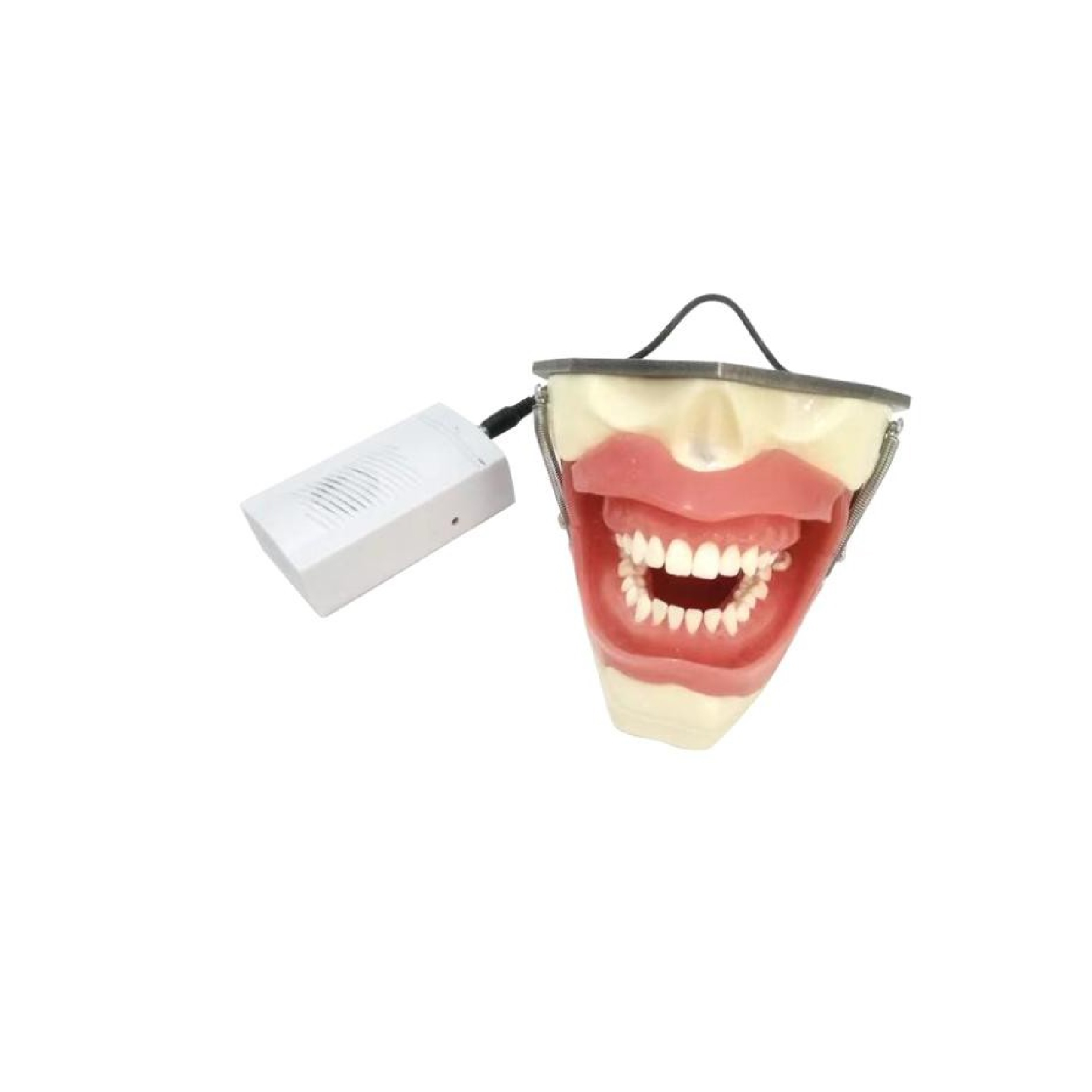 Anesthetic dental model JPS-EA01