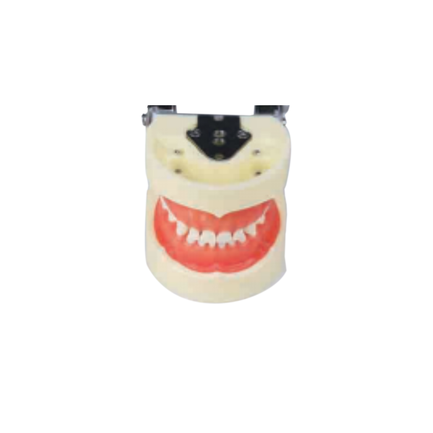 Pedodontics model JPS-PD 01