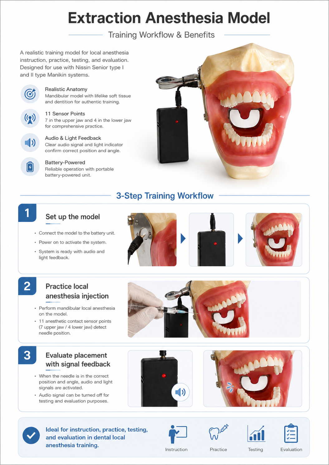 Extraction Anesthesia Model detail 4