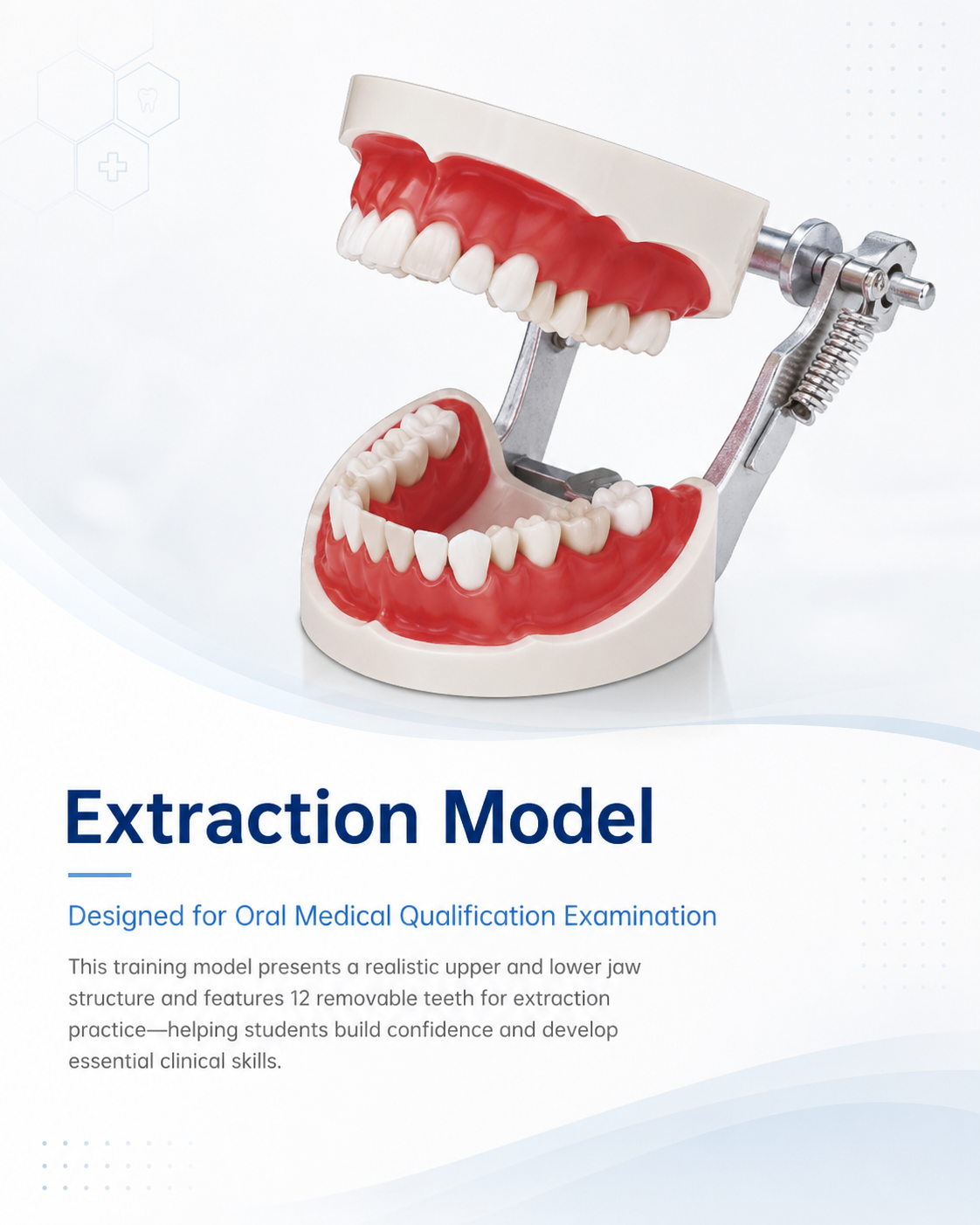 Extraction Model detail 1
