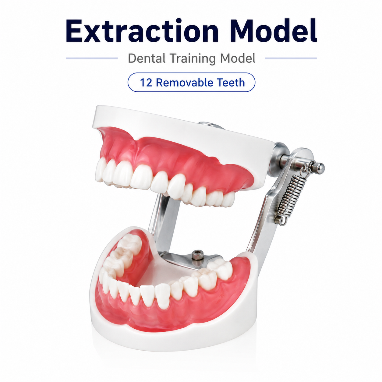 Extraction Model
