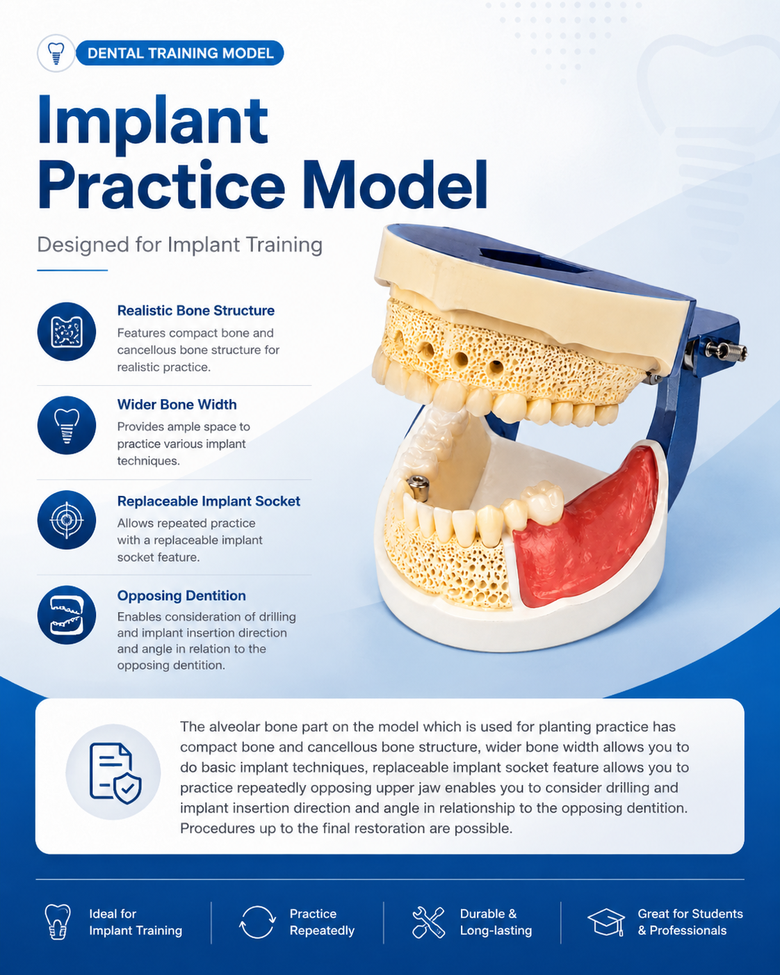 Implant Practice Model detail 1
