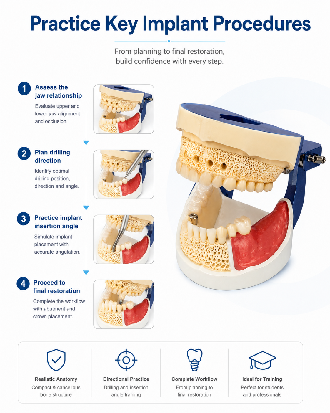 Implant Practice Model detail 3
