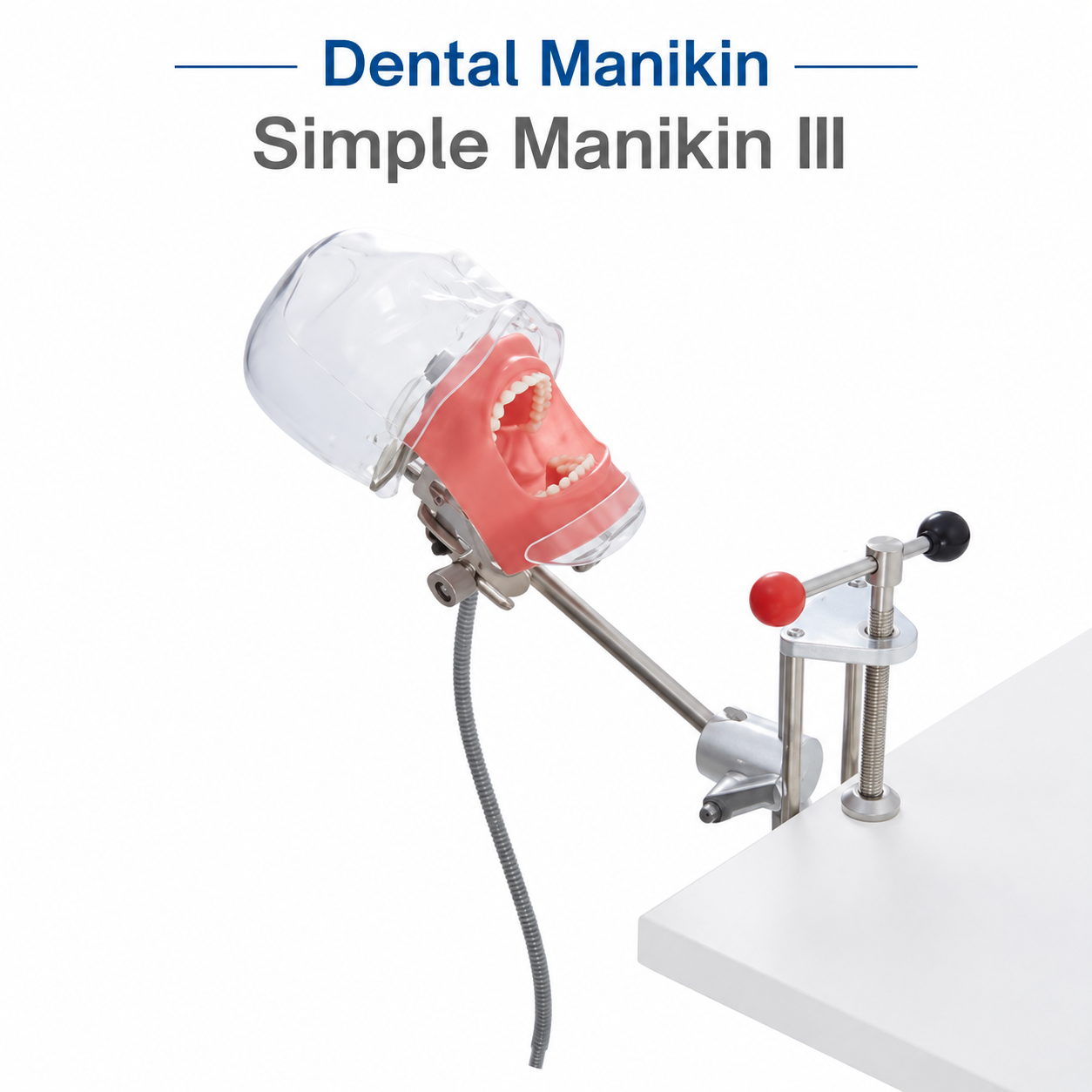 Simple Manikin III