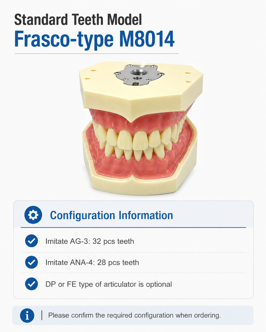 Standard Teeth model Frasco-type M8014 detail 3