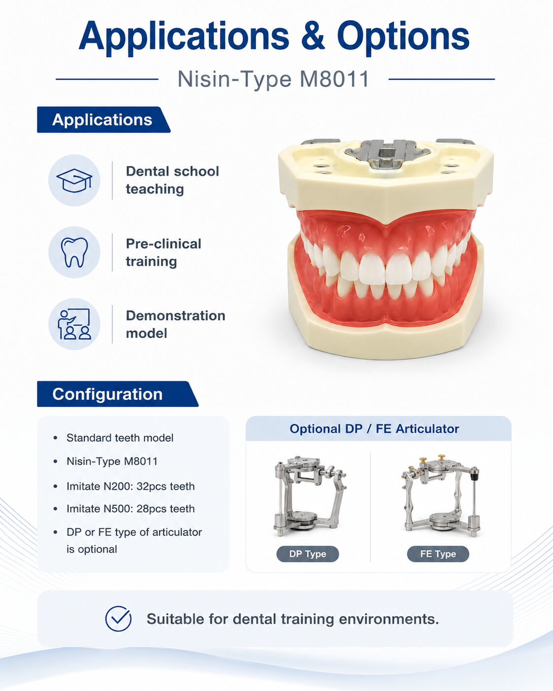 Standard Teeth model Nisin-type M8011 detail 4