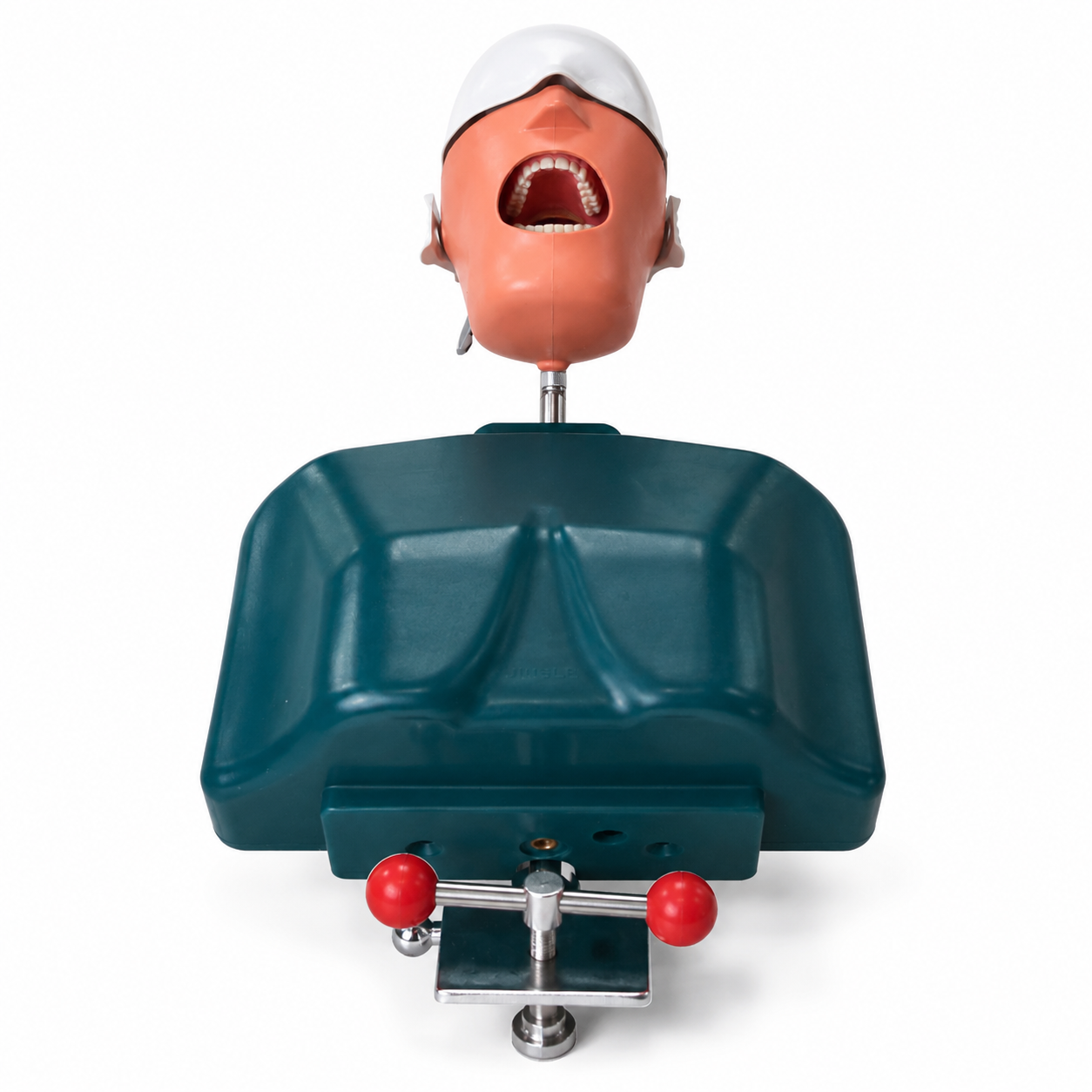 Advanced II Phantom Head with body