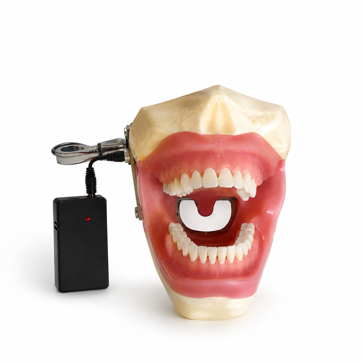 Extraction Anesthesia Model