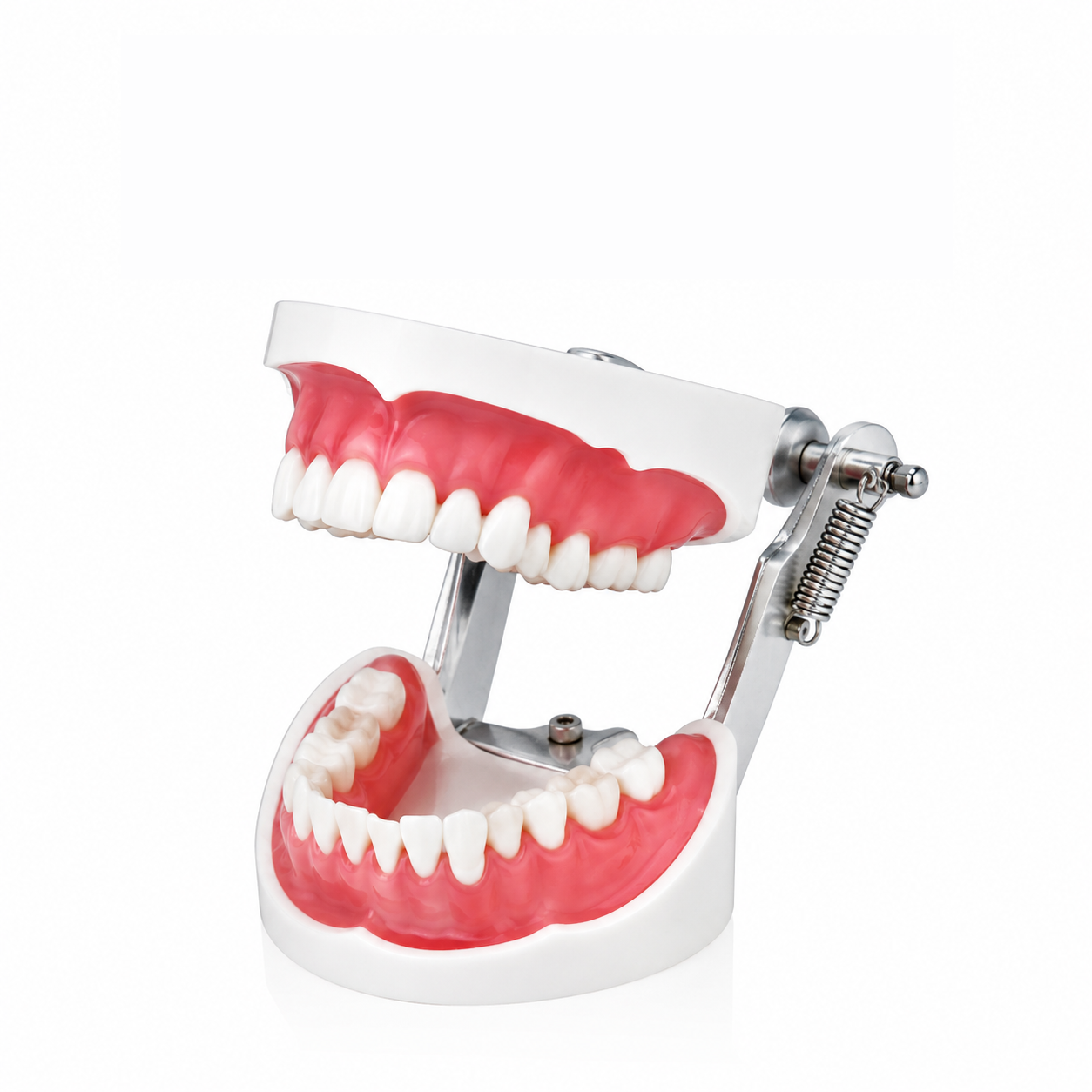 Extraction Model